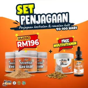 Set Penjagaan